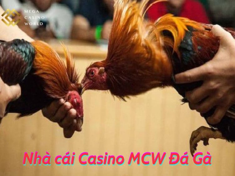 Casino MCW trang cá cược thể thao uy tín tham gia Mcw.com ngay